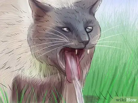 Imagen titulada Help a Cat That Swallowed String Step 11