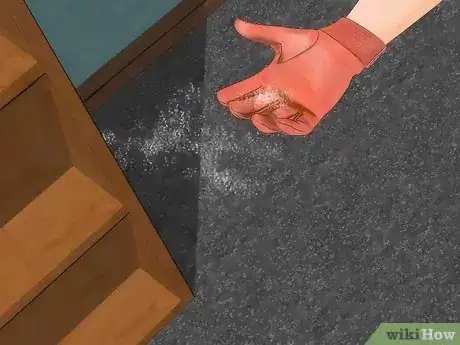 Imagen titulada Get Rid of Fleas in Carpets Step 14