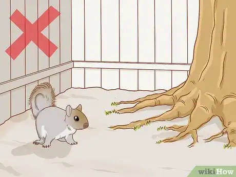 Imagen titulada Stop a Dog from Digging Step 9