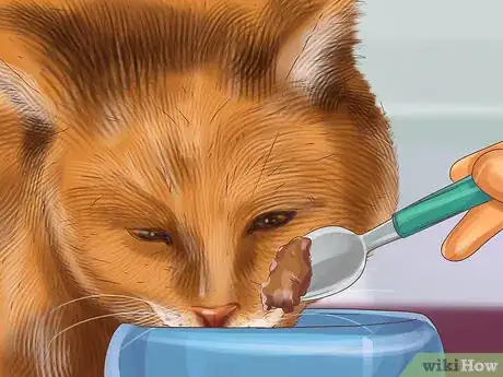 Imagen titulada Feed Different Diets to Multiple Cats Step 8