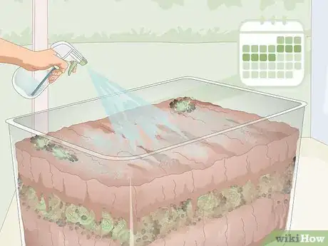 Imagen titulada Breed Worms Step 10