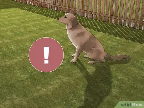 Imagen titulada Care for Burned Grass Step 12