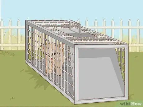 Imagen titulada Catch a Stray Kitten Step 6
