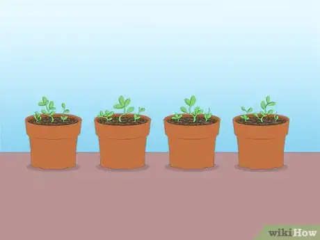 Imagen titulada Propagate Azaleas Step 45