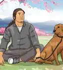 pasear a tu perro
