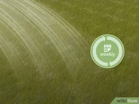 Imagen titulada Care for Burned Grass Step 11