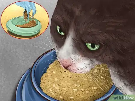 Imagen titulada Approach a Stray Cat Step 1