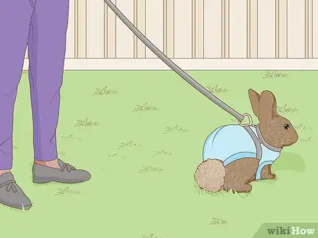 Imagen titulada Care for a New Pet Rabbit Step 16