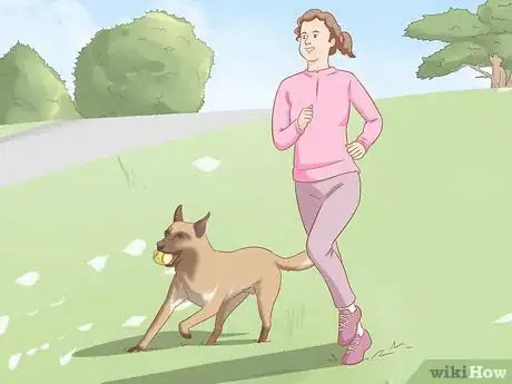 Imagen titulada Care for a Belgian Malinois Step 12
