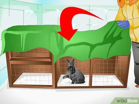 Imagen titulada Keep a Rabbit Warm Step 2