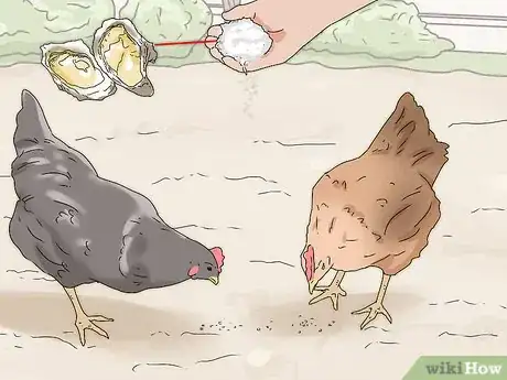Imagen titulada Feed Eggshells to Chickens Step 10