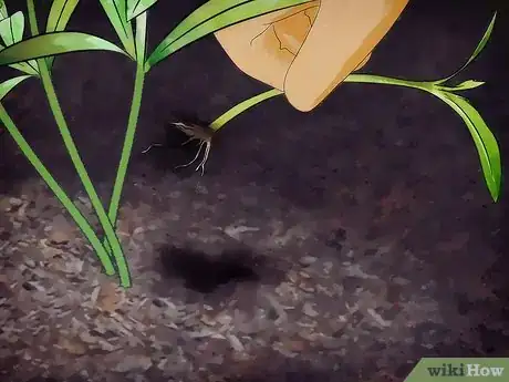 Imagen titulada Prune Oleander Step 3