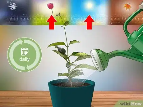 Imagen titulada Grow Jasmine from Cuttings Step 19
