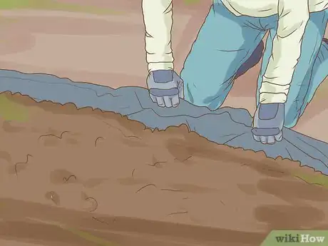 Imagen titulada Make a Putting Green Step 8
