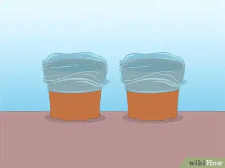 Imagen titulada Propagate Azaleas Step 37