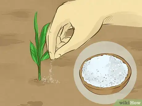 Imagen titulada Make Fertilizer Step 9