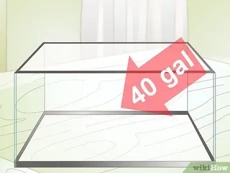 Imagen titulada Care for a Soft Shelled Turtle Step 2