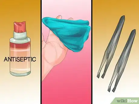 Imagen titulada Remove Debris Stuck in a Cat Paw Step 1