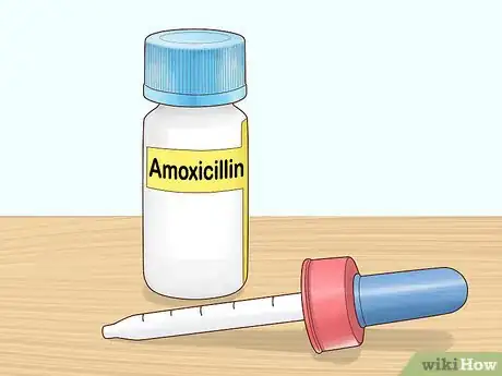 Imagen titulada Reduce Fever in Cats Step 9