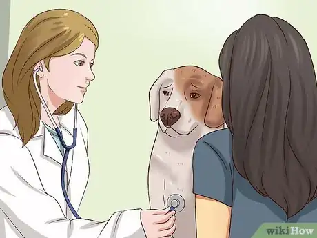 Imagen titulada Get Dogs to Stop Barking Step 19