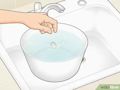 Imagen titulada Clean a Betta Fish Bowl Step 3