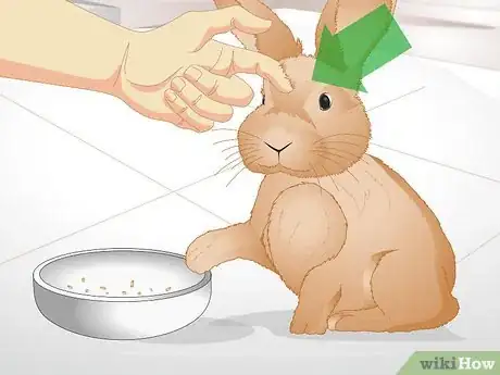 Imagen titulada Tell if Your Rabbit Is Lonely Step 10
