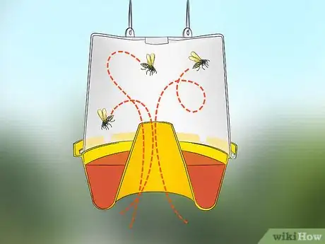 Imagen titulada Kill Yellow Jackets in the Wall Step 15
