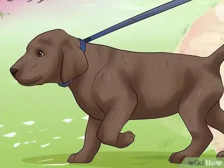 Imagen titulada Get Your Puppy to Stop Biting Step 15