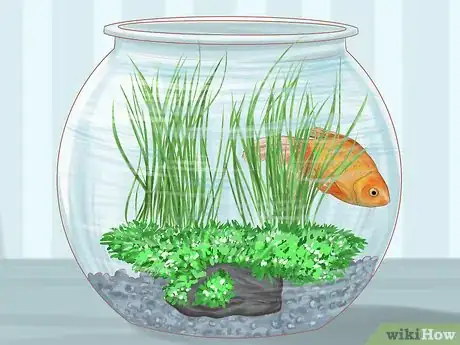Imagen titulada Keep Your Fish from Dying Step 3