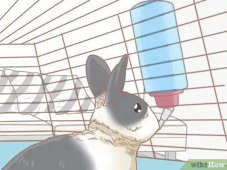 Imagen titulada Set up a Rabbit Cage Step 14