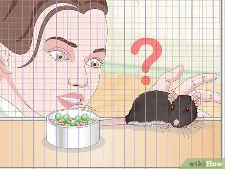 Imagen titulada Spot Common Signs of Illness in Mice Step 6