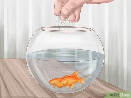 Imagen titulada Keep Your Fish from Dying Step 6