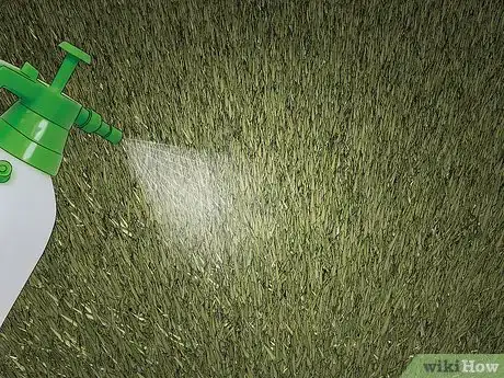 Imagen titulada Get Rid of Clover Mites Step 7