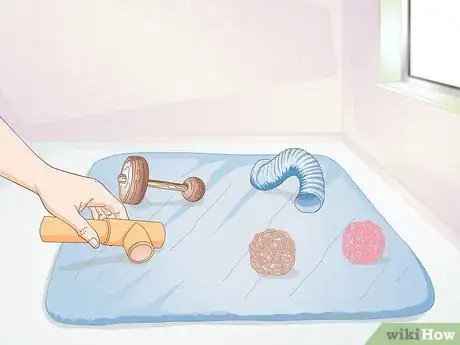 Imagen titulada Exercise Your Guinea Pig Step 8