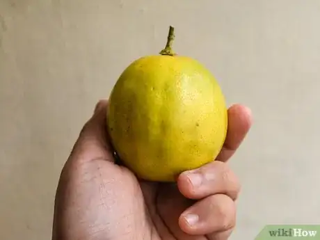 Imagen titulada Ripen Lemons Step 1