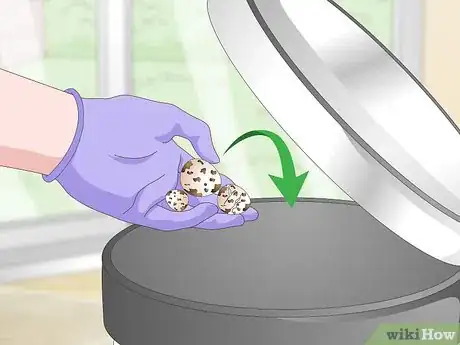 Imagen titulada Breed Quail Step 17