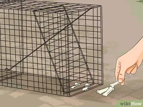 Imagen titulada Catch a Stray Dog Step 10