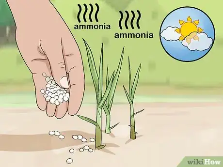 Imagen titulada Apply Urea Fertilizer Step 7