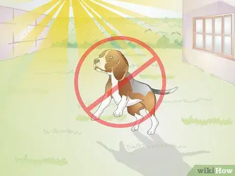 Imagen titulada Treat a Yeast Skin Infection in a Dog Step 10