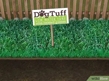 Imagen titulada Care for Burned Grass Step 15