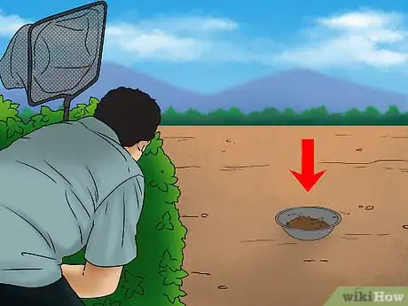Imagen titulada Catch a Duck Step 2