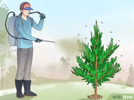 Imagen titulada Plant Cedar Trees Step 17