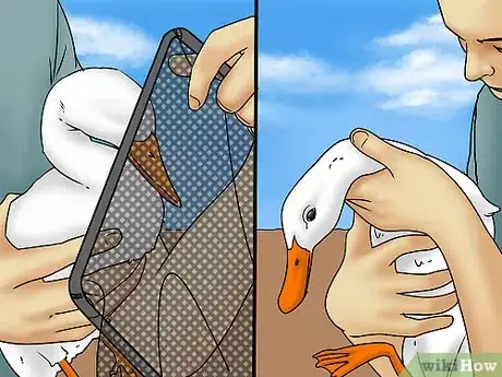 Imagen titulada Catch a Duck Step 5