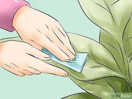Imagen titulada Get Rid of Spider Mites Step 6