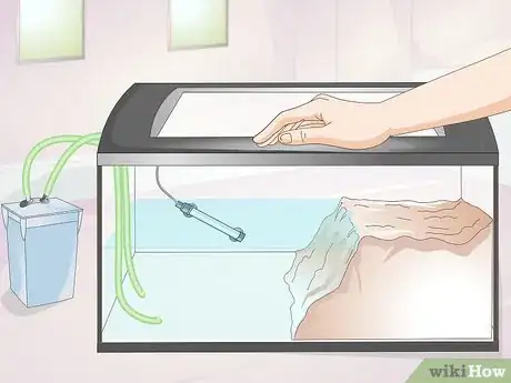 Imagen titulada Keep a Turtle Healthy Step 11