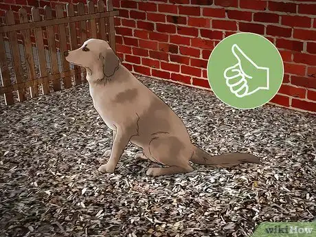 Imagen titulada Care for Burned Grass Step 14