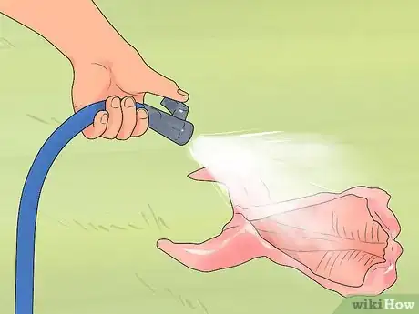 Imagen titulada Clean a Squirrel Step 12