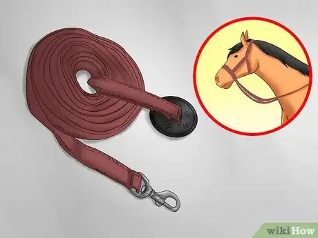 Imagen titulada Teach Your Horse to Lunge Step 1