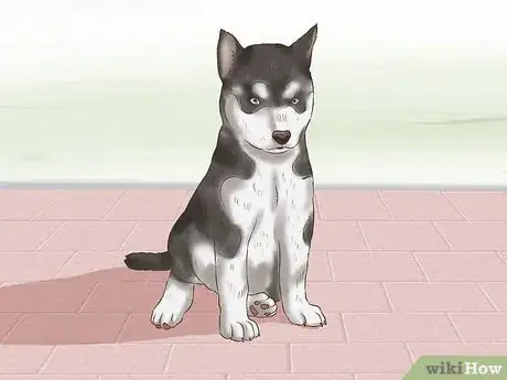 Imagen titulada Choose a Puppy to Keep from Your Litter Step 1