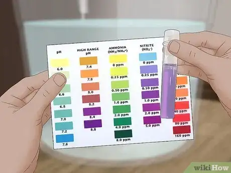 Imagen titulada Start a Saltwater Aquarium Step 34